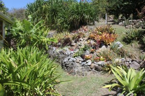 The rockery