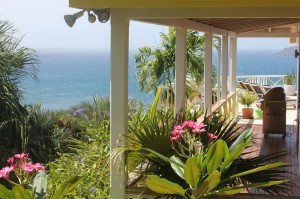 Frangipani blossom with ‘white horses’ in the background