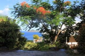 View of St Kitts from our parking area