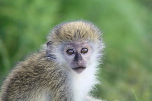 He certainly wasn’t camera shy!