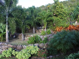 Our palm terrace viewed for the Master Bedroom
