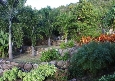 Our palm terrace viewed for the Master Bedroom