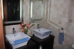 Twin vanity units
