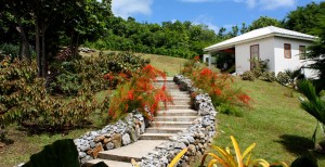 Steps to the Rear of coccoloba Villa in the Caribbean