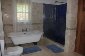 Huge glass tiles shower
